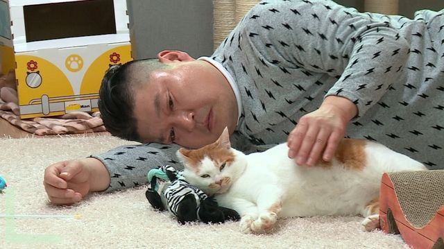 자기 닮은 고양이 만난 강호동 | 인스티즈
