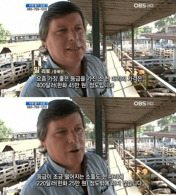 흔한 아르헨티나 소 가격ㄷㄷ | 인스티즈