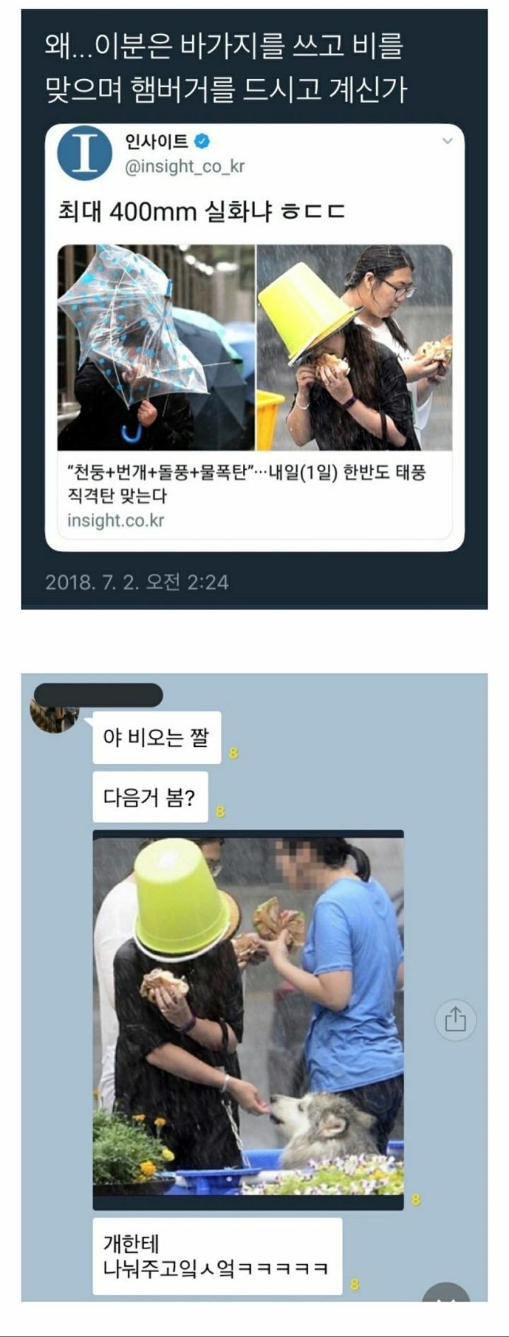비오는날 바가지쓰고 개랑 햄버거 나눠먹는 사진 | 인스티즈