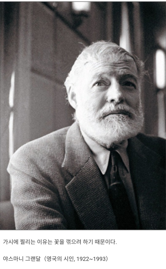 인터넷에 돌아다니는 명언 함부로 믿으면 안되는 이유.jpg | 인스티즈