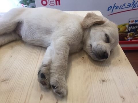누워서 카운터보는 알바생 | 인스티즈