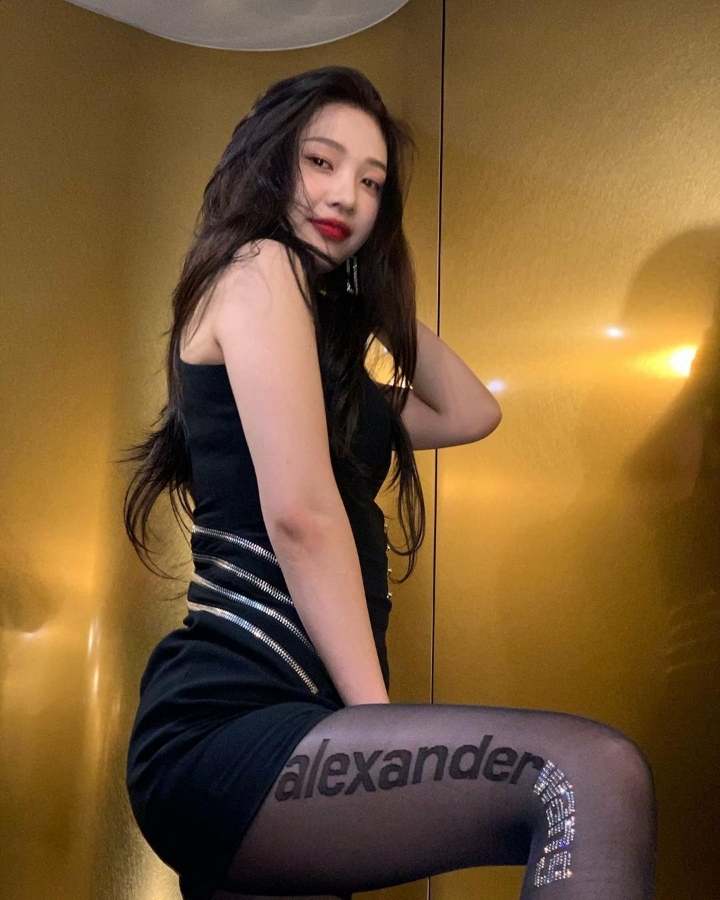 귀여운 컨셉이나 하라는 사람들에게 자기의 섹시컨셉을 고수하겠다고 했던 조이 | 인스티즈