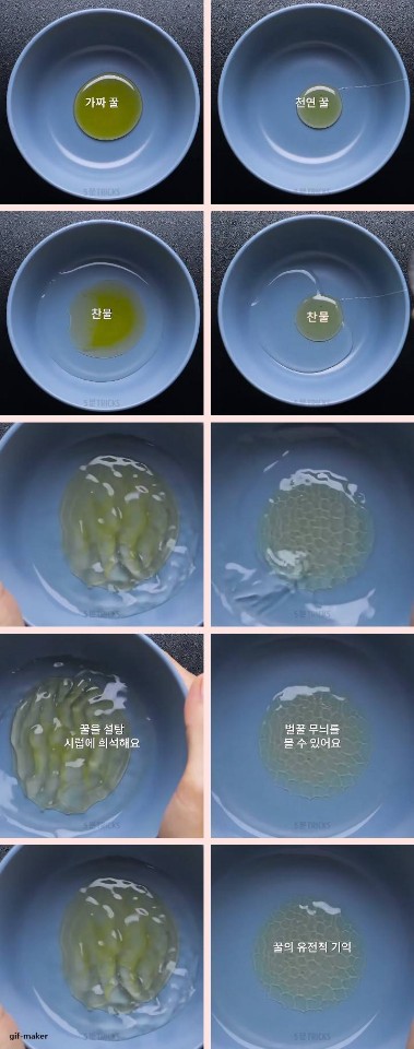 벌꿀 진짜 가짜 구분하는법(feat.웃대) | 인스티즈