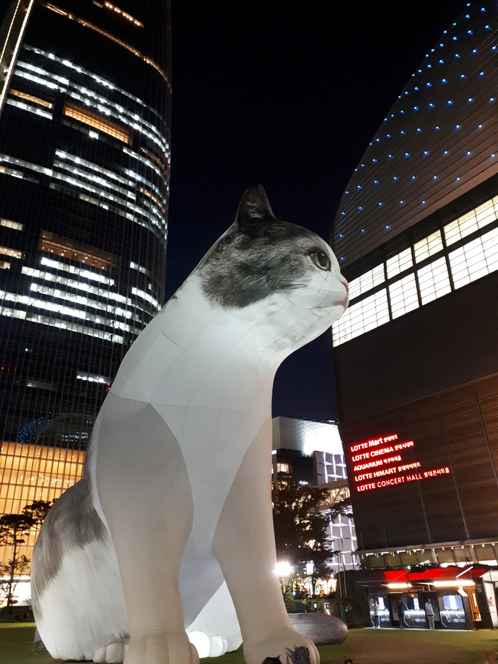 잠실에 등장한 빅 떼껄룩 | 인스티즈