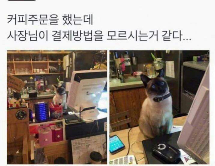 결재방법을 모르는 사장님 | 인스티즈