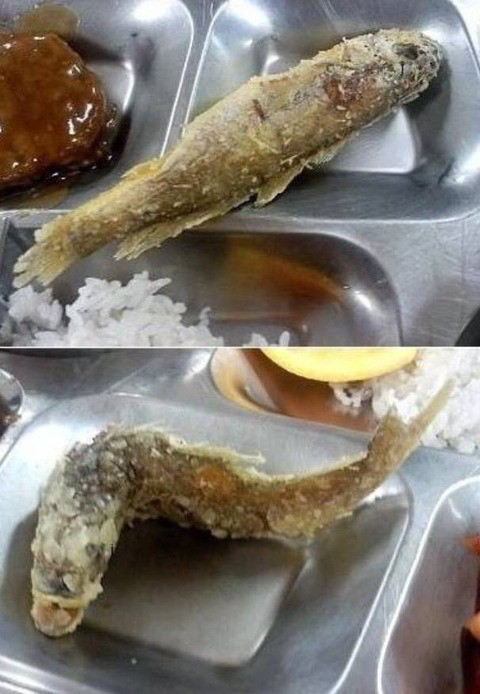 좋아하는 사람 한명도 못본 음식 | 인스티즈