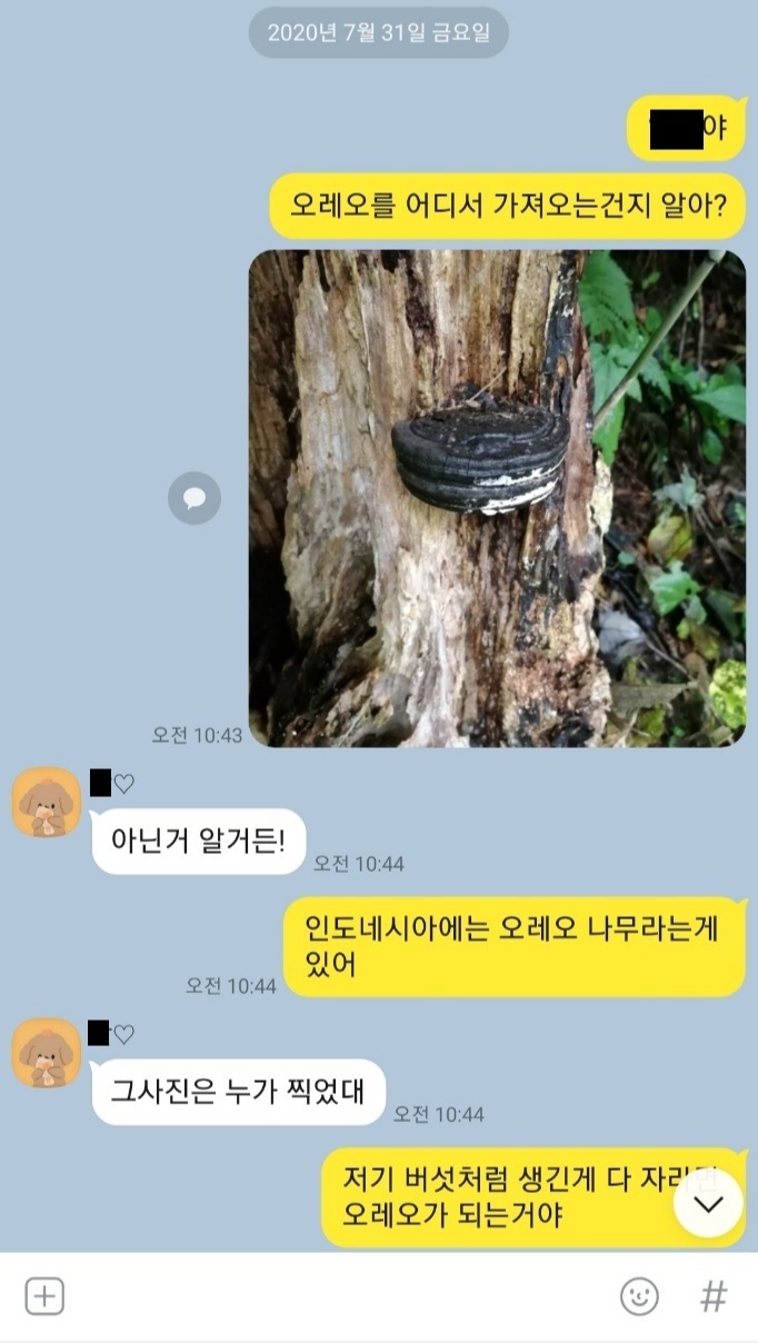 "초딩 딸이 내말에 안속는다...ㅠㅠ".jpg | 인스티즈