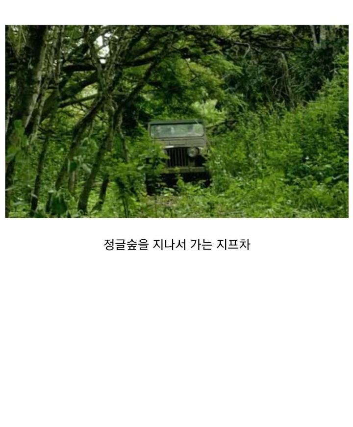 어느 미국 드라마속의 한국.jpg | 인스티즈