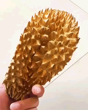 두리안냄새맡은 댕댕이 | 인스티즈