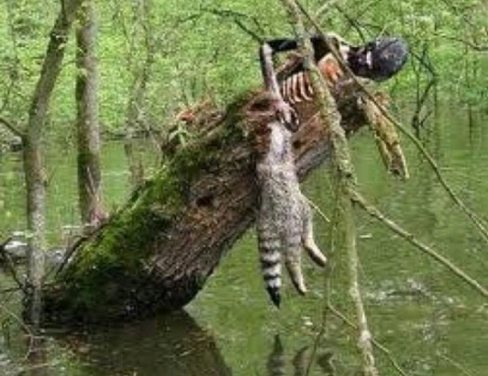 역사상 가장 잔인하다고 알려진 사형 (혐오주의) | 인스티즈