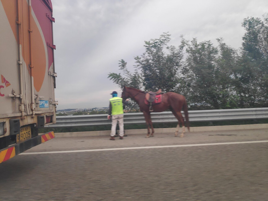 고속도로에서 멋대로 갓길주행하는 머스탱.jpg | 인스티즈