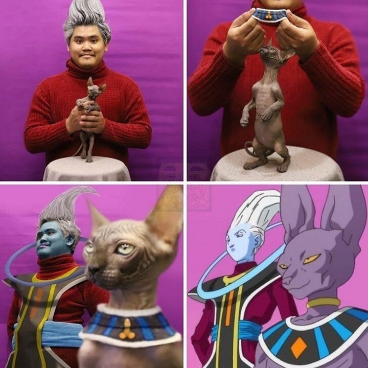 인간문화재 저가 코스프레 근황 | 인스티즈