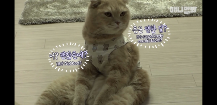 앉아있는게 편한 때껄룩 | 인스티즈