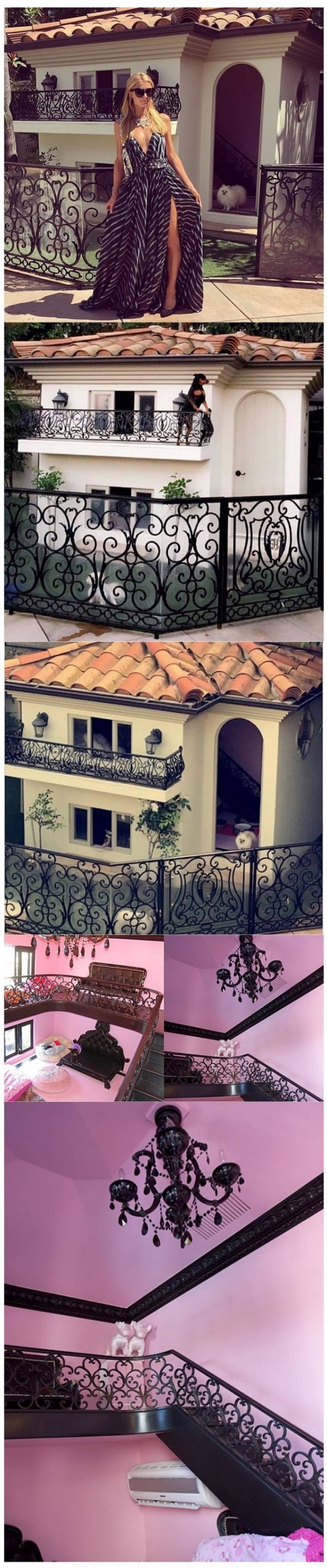 패리스힐튼이 키우는 댕댕이 집 | 인스티즈