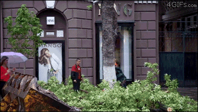 생명 로또맞은 사람들 | 인스티즈