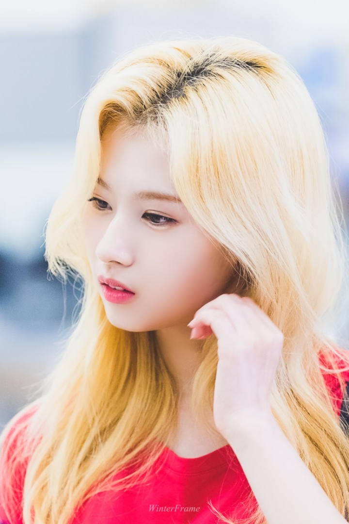 2020년을 여는 트와이스 사나 첫번째 글 | 인스티즈