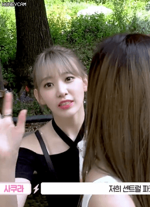 아이즈원 미야와키 사쿠라 랜덤짤 45 | 인스티즈