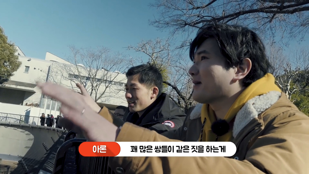 일본인이 밝히는 일본 원숭이의 암수 구분법 | 인스티즈