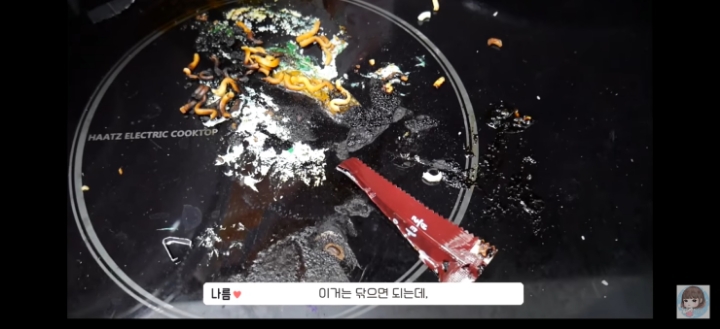 인덕션에 아이폰 녹여버린 유튜버 | 인스티즈