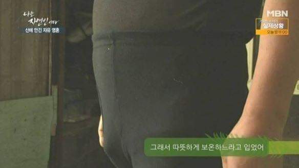 나는 자연인이다 레전드 | 인스티즈