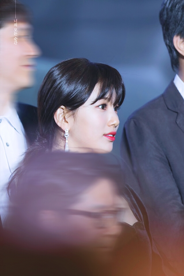 거대한 이빨 화석의 위엄 | 인스티즈