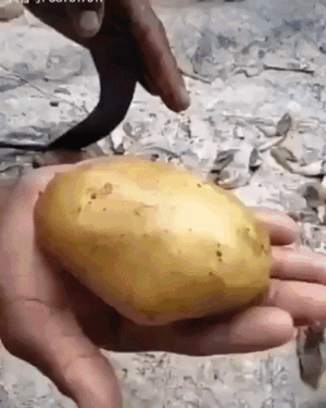 감자튀김장인 | 인스티즈