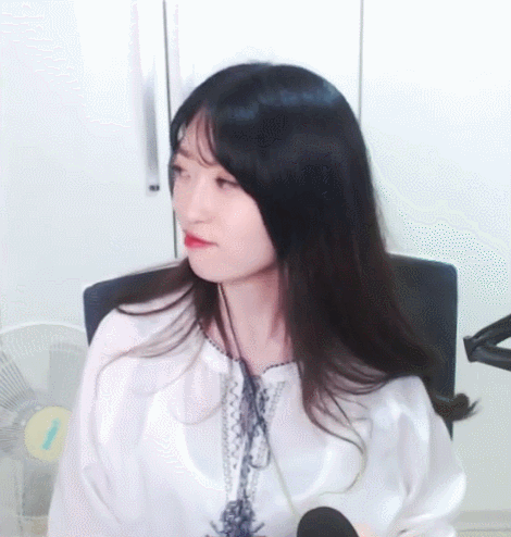 트위치 시청자 최대의 난제 | 인스티즈