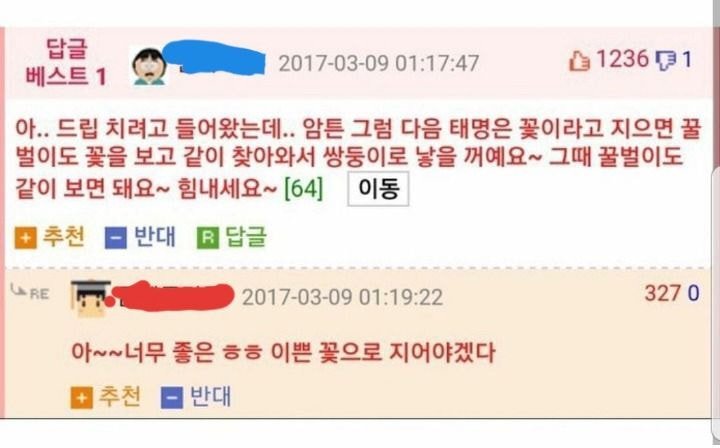 첫 아이를 유산하고 아기를 가지고 싶다는 글에 달린 댓글 | 인스티즈