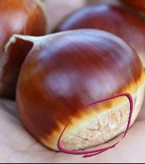 굳이~ 이렇게 만들어 먹나 싶은 조선시대 과자.jpg | 인스티즈