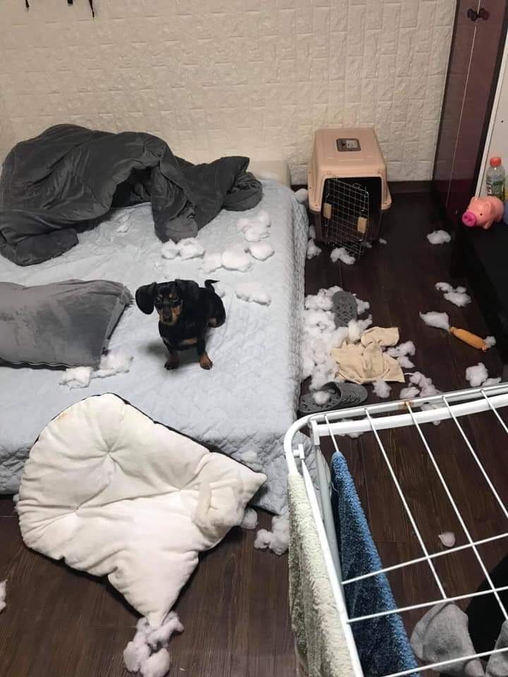 페북에서 열린 더러운 자취방 선발대회 .jpg | 인스티즈