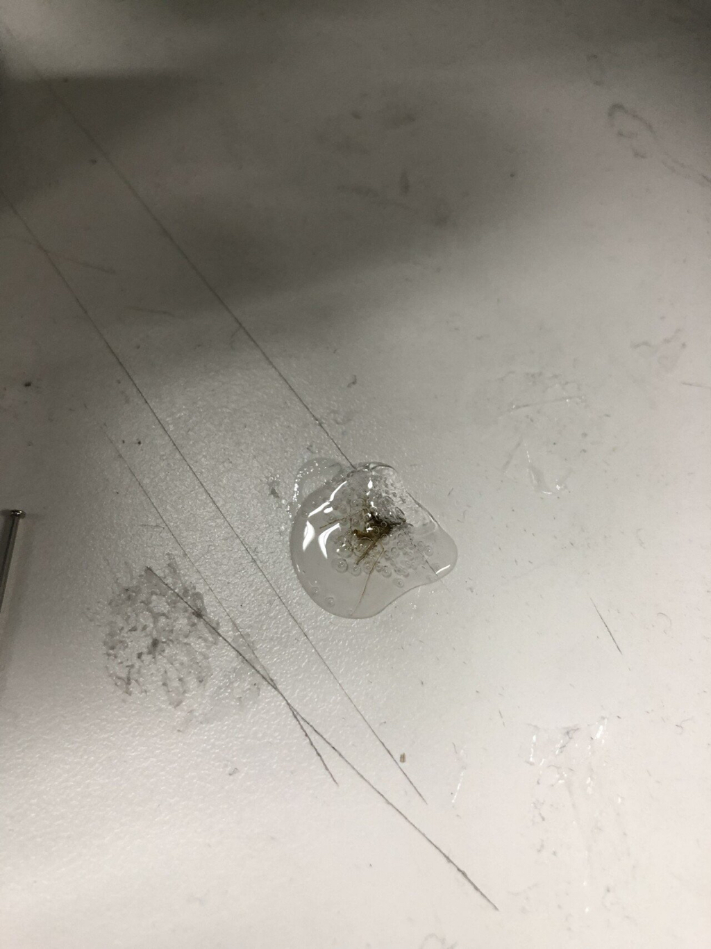 모기 새끼 다양하게 고문하는 모기 갤러리.jpgif | 인스티즈