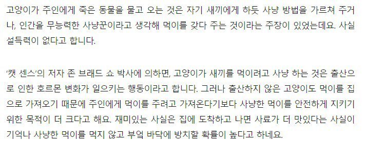 고양이가 쥐같은거 물어다 주는건 은혜갚는 일이다 | 인스티즈