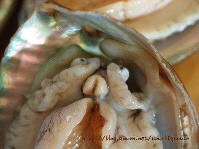 1842bd8fdc3b62df23d21d2bb7b12ff423c496b8