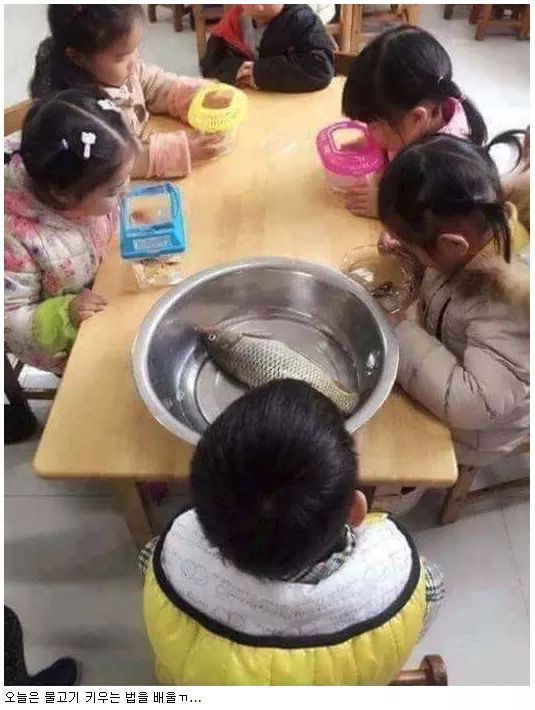 집에서 물고기 가져오세요 | 인스티즈