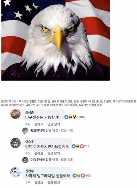 동물이랑 싸워서 이기는 법 | 인스티즈