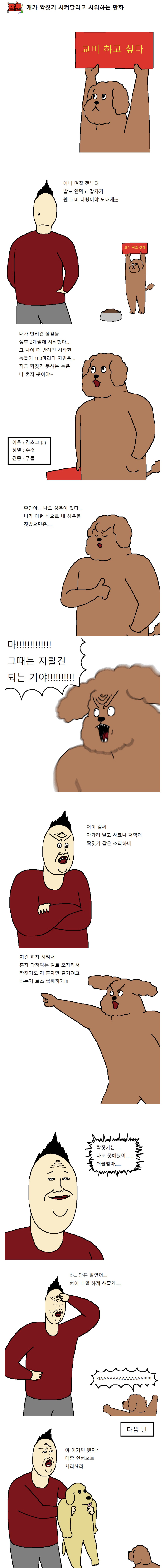 개가 짝짓기 시켜달라고 시위하는.Manhwa | 인스티즈