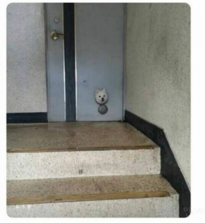 누구인가 | 인스티즈