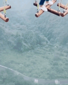 이 놀이기구 탈 수 있다 vs 없다 | 인스티즈