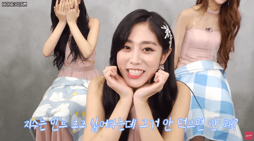 연예인 민트초코파vs반민초파 .jpg | 인스티즈