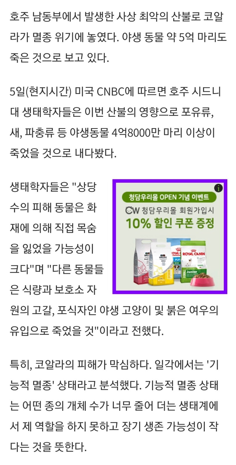 코알라는 이제 인간의 보조 없이 자생불가.news | 인스티즈