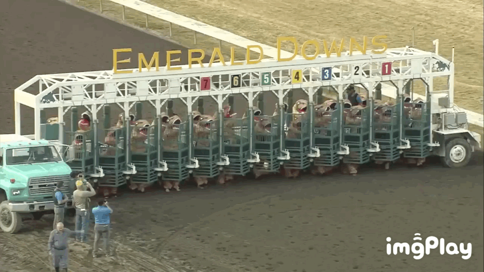 인간 시대의 끝이 도래했다.gif | 인스티즈