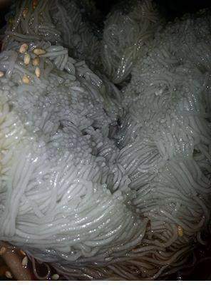 사진고자가 찍은 음식사진 | 인스티즈