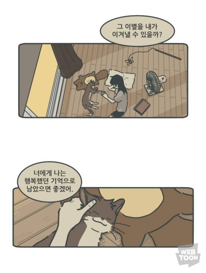 병원에서 죽음을 맞이한 고양이와 마지막을 지키지 못한 주인 | 인스티즈