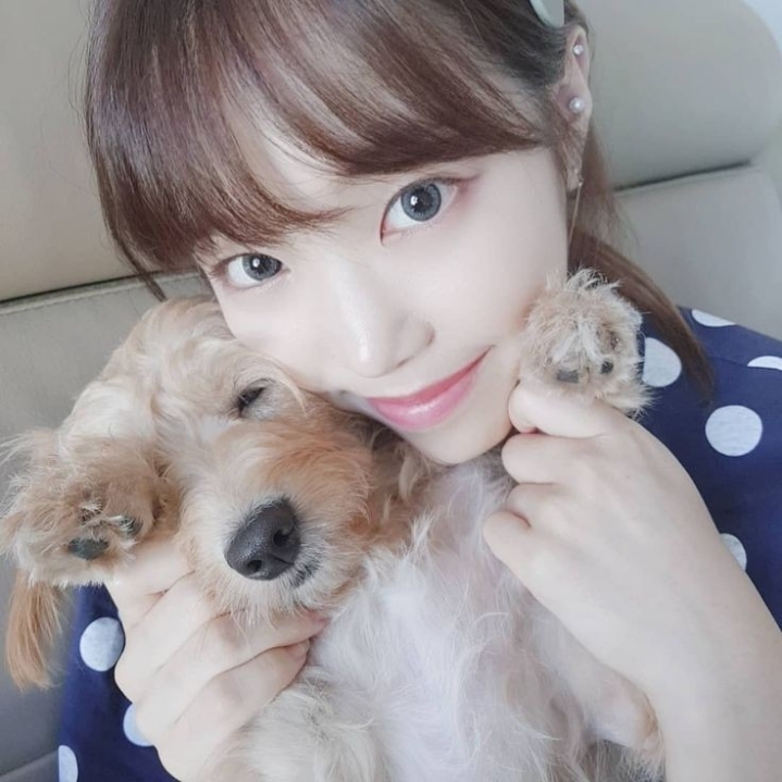 에이프릴 레이첼 .jpgif | 인스티즈