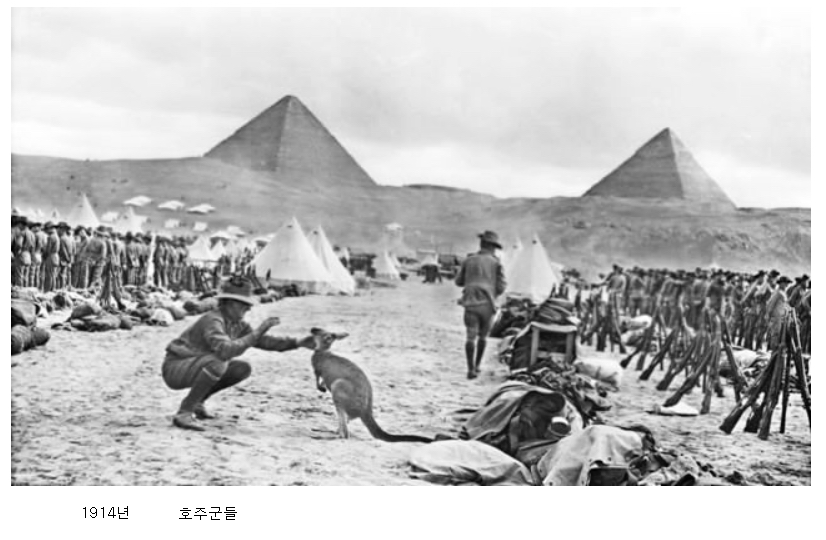 이집트에 파병온 호주군 | 인스티즈