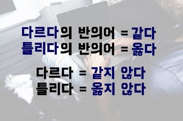 많은 사람들이 잘못 쓰는 단어 | 인스티즈