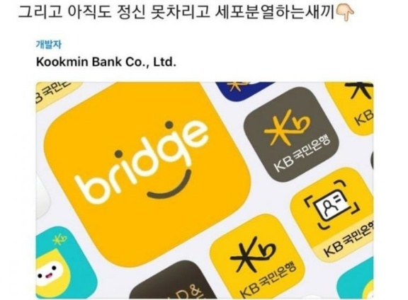 아직도 정신 못차리고 세포분열하는 은행.jpg | 인스티즈