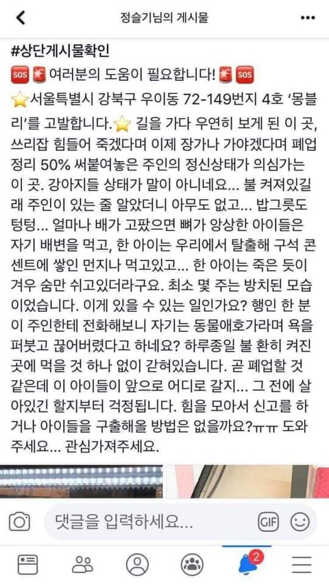 폐업정리한다고 강아지들 그냥 방치시킨 우이동 펫샵 .jpg | 인스티즈