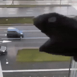 자동차먹방.gif | 인스티즈