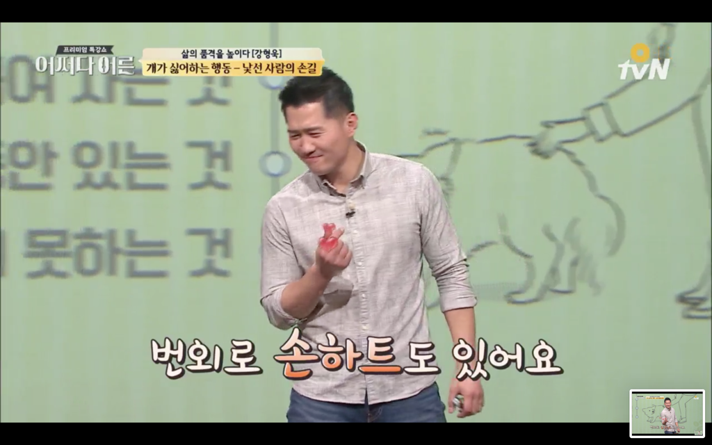 지나가다 귀여운 댕댕이를 볼때 어떻게 반응해야하나 | 인스티즈